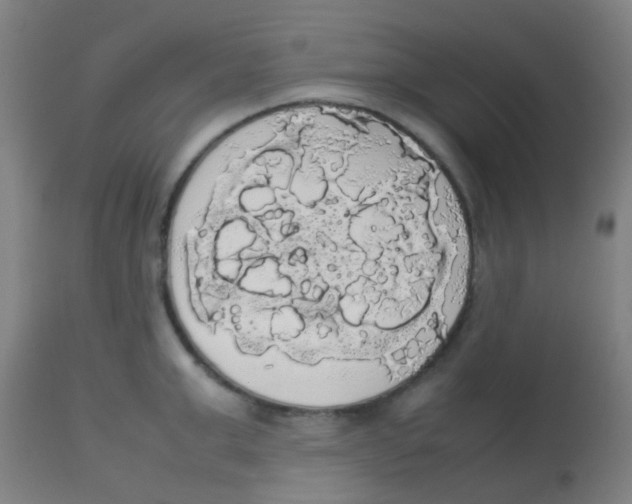 X0000113850999200910221415