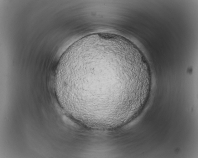 X0000113851001200910221415