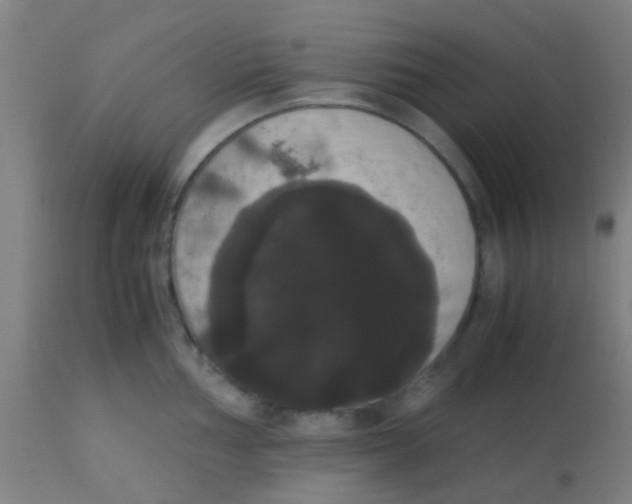 X0000113851002200910221415