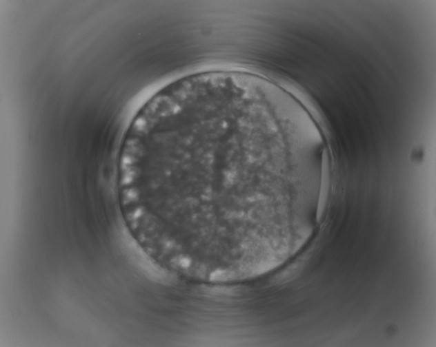 X0000113851004200910221415