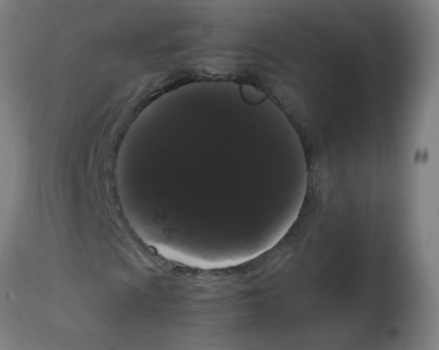 X0000113851009200910221414