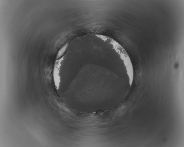 X0000113851010200910221414