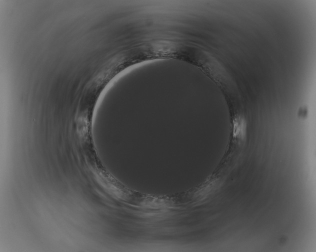 X0000113851011200910221414