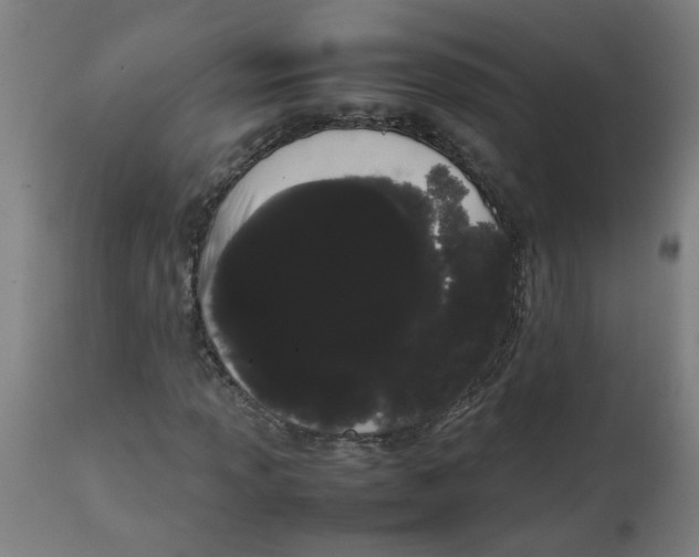 X0000113851013200910221414