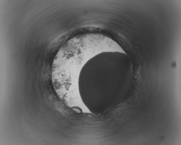 X0000113851014200910221414