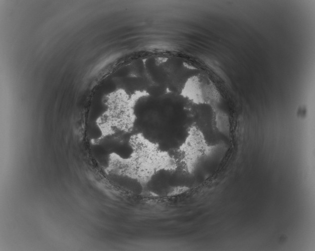 X0000113851015200910221414