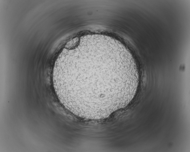 X0000113851016200910221414