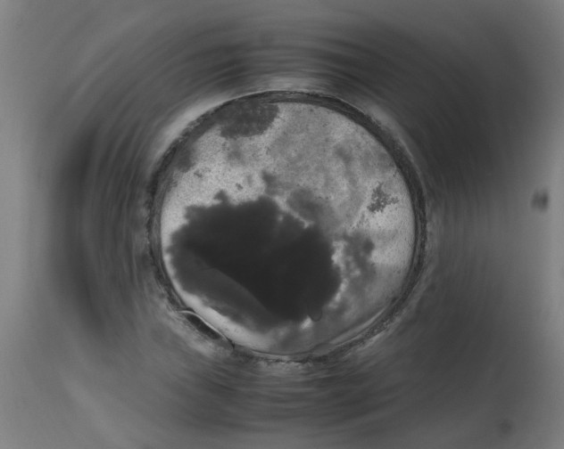 X0000113851019200910221414