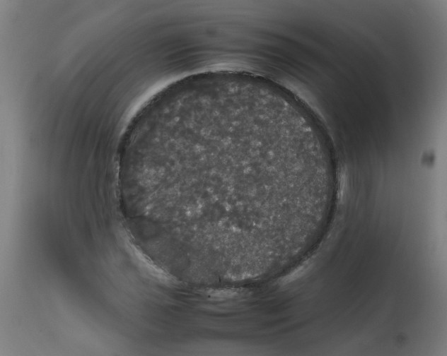 X0000113851021200910221414