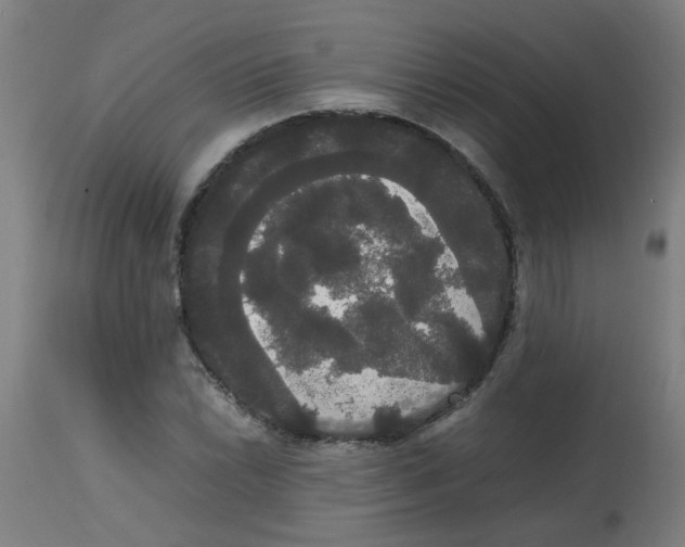 X0000113851022200910221414