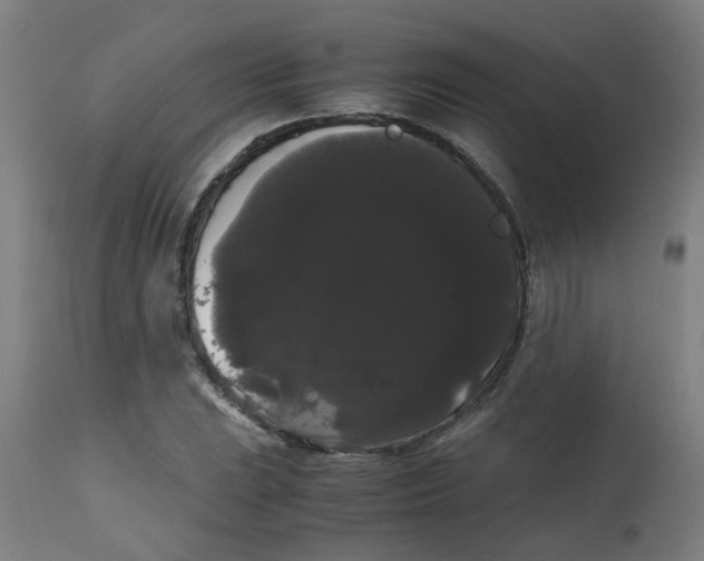 X0000113851023200910221414