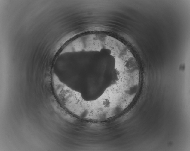 X0000113851025200910221414