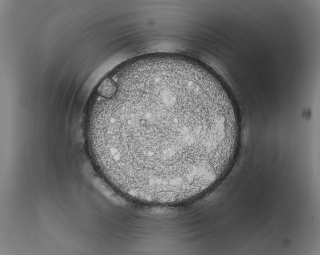 X0000113851026200910221414