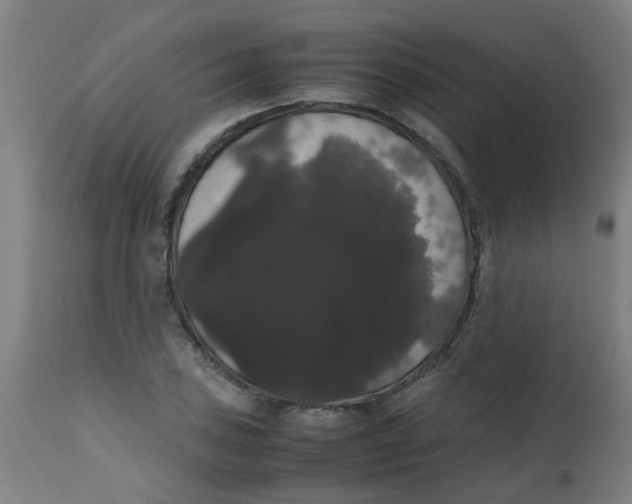 X0000113851027200910221414