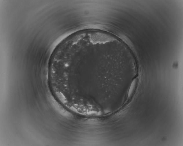 X0000113851028200910221414