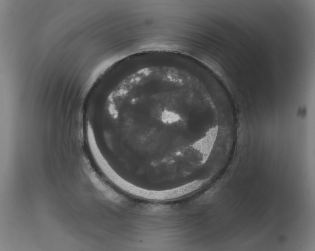 X0000113851030200910221414