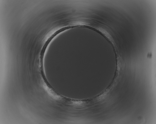 X0000113851031200910221414