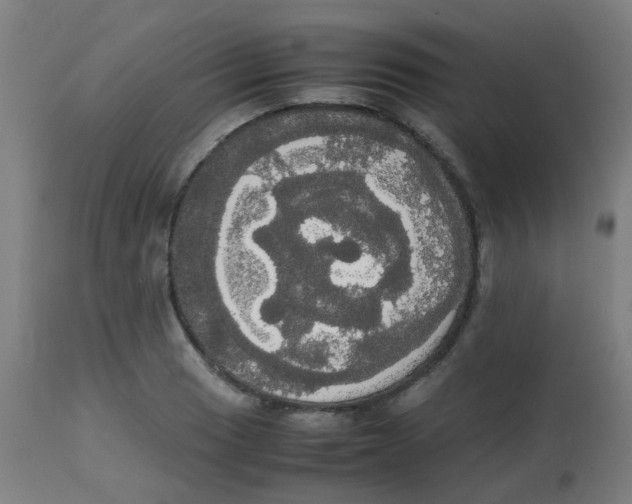 X0000113851033200910221414