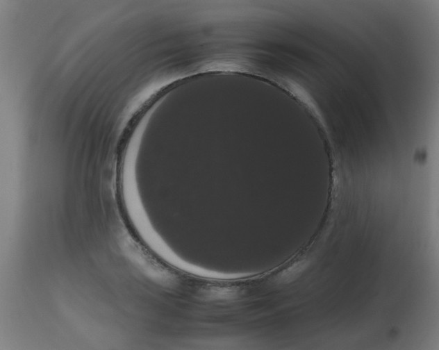 X0000113851035200910221414