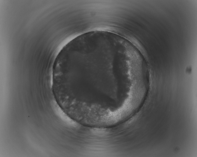 X0000113851036200910221414