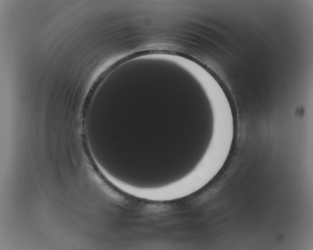 X0000113851037200910221414