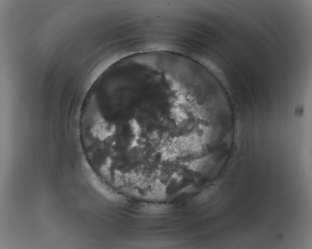 X0000113851039200910221414