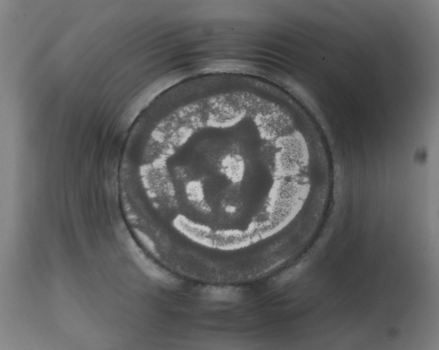 X0000113851041200910221415