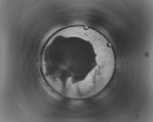 X0000113851043200910221415