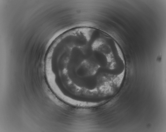 X0000113851044200910221415