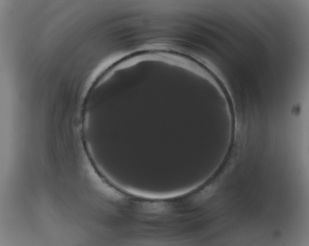 X0000113851045200910221415