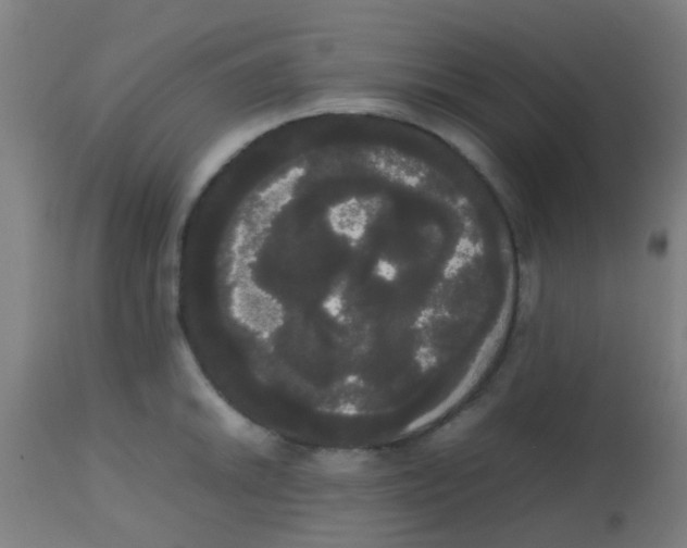 X0000113851046200910221415