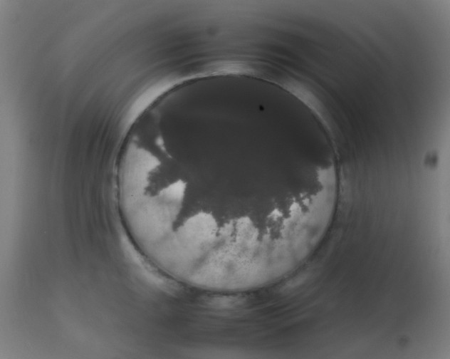 X0000113851047200910221415