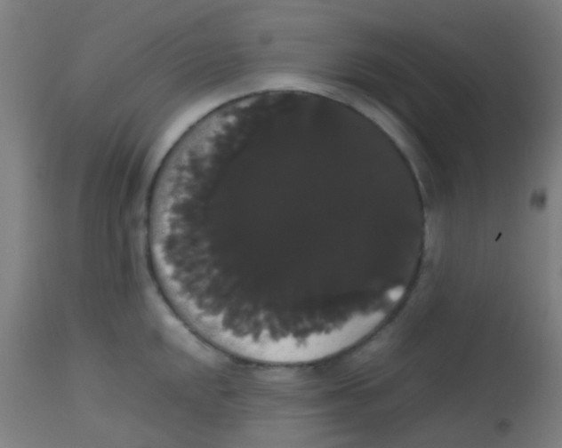 X0000113851048200910221415