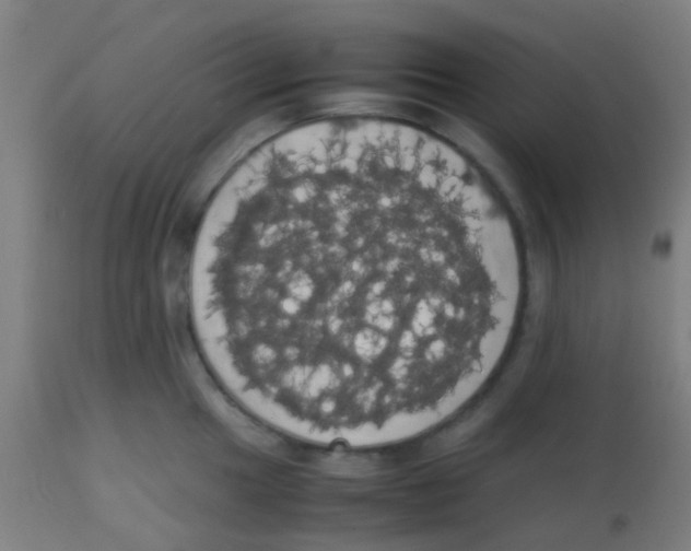 X0000113851049200910221415