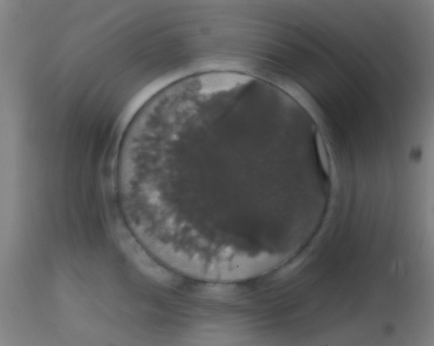 X0000113851052200910221415