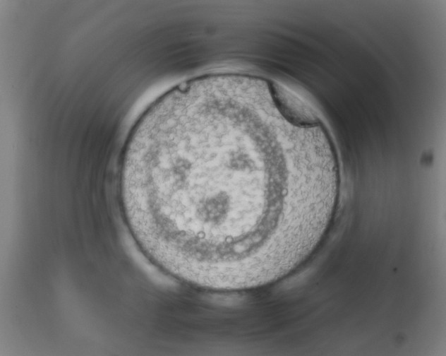 X0000113851053200910221415