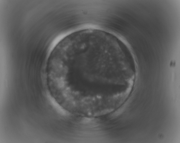 X0000113851056200910221415