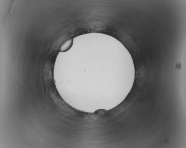 X0000113851058200910221414