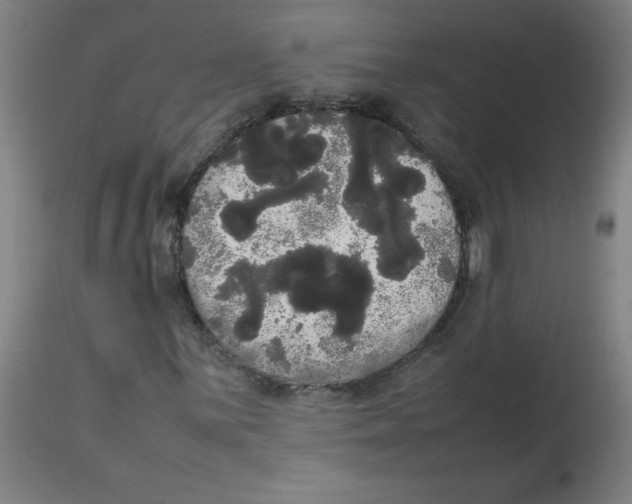 X0000113851059200910221414