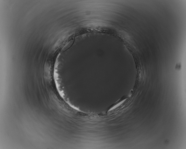 X0000113851060200910221414