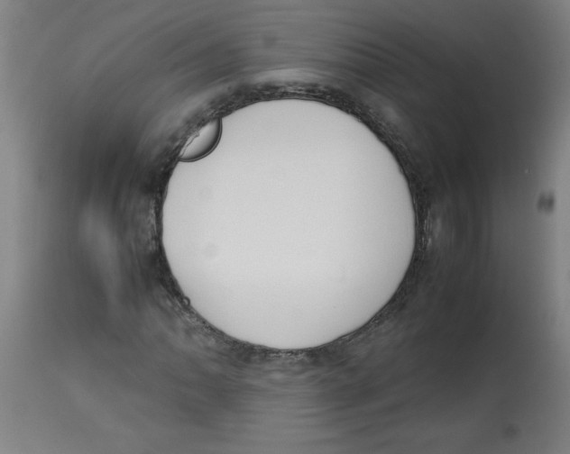 X0000113851062200910221414