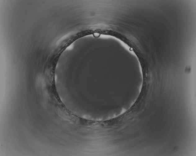 X0000113851063200910221414