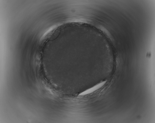 X0000113851064200910221414