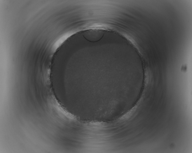 X0000113851066200910221414