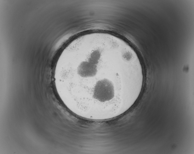 X0000113851067200910221414