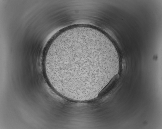 X0000113851068200910221414