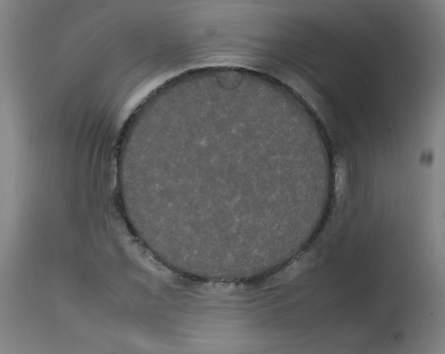 X0000113851069200910221414