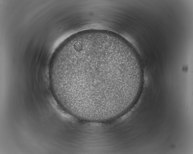 X0000113851070200910221414