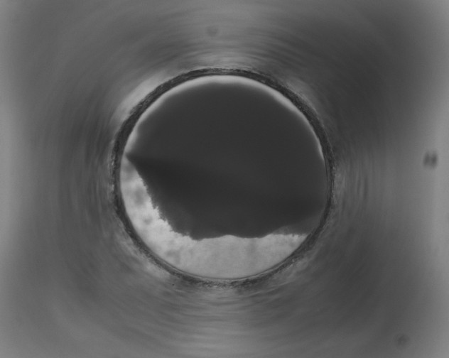 X0000113851071200910221414