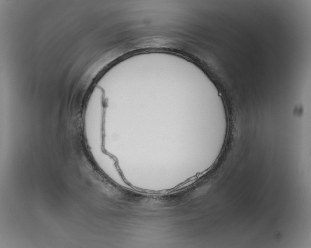 X0000113851073200910221414